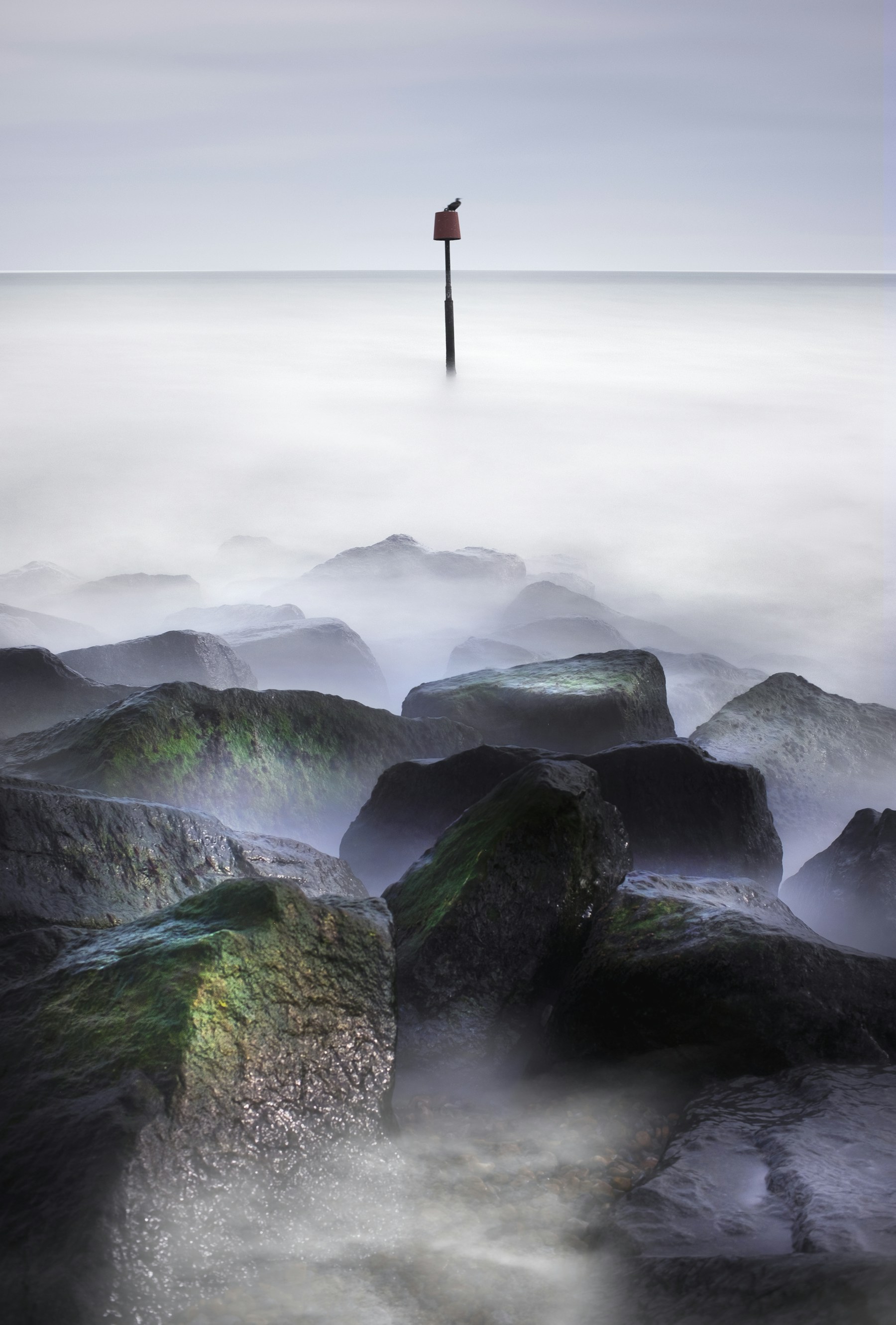 A cormorant on a coastal post above the sea
