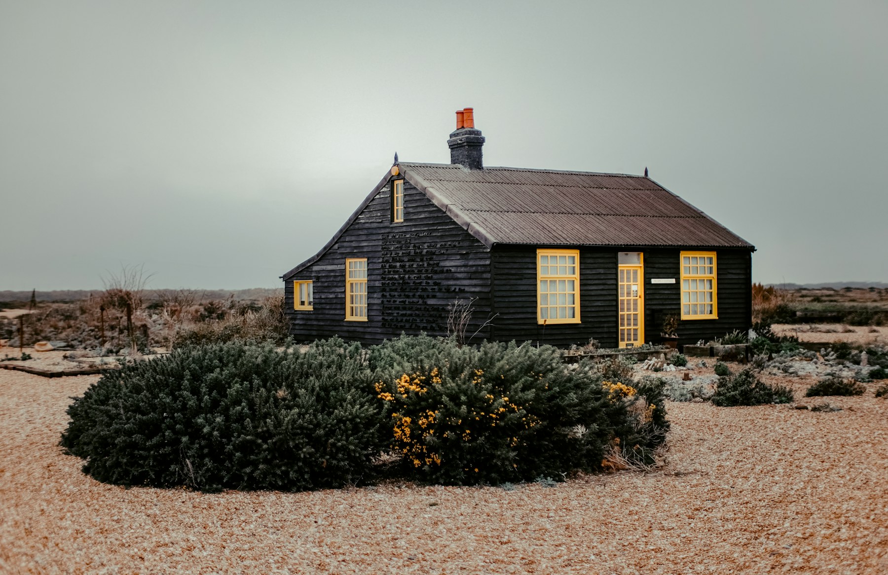 Prospect Cottage among shingle and coastal plants